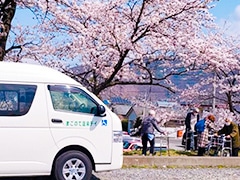 花見